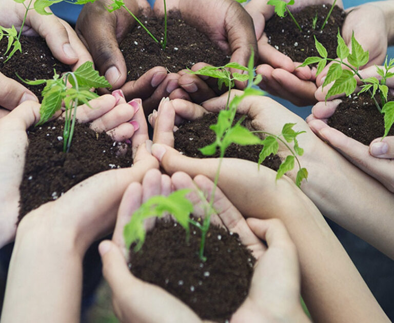 Réunion d’évaluation mi-parcours du programme